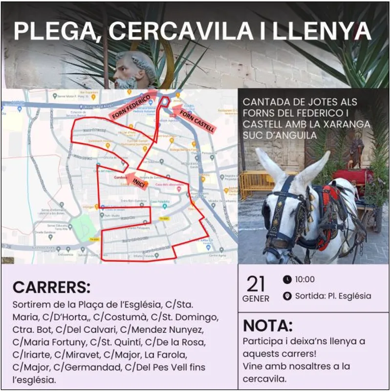Cartell: Sant Antoni 2024 - Plega, cercavila i llenya