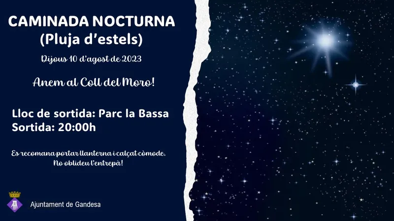 Imatge: Activa't 2023 - CAMINADA NOCTURNA (PLUJA D'ESTELS)